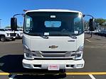 New 2024 Chevrolet LCF 5500XG Regular Cab RWD, Cab Chassis for sale #240132 - photo 9