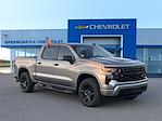 2024 Chevrolet Silverado 1500 Crew Cab 4WD, Pickup for sale #M293423 - photo 1