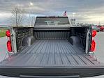 2024 Chevrolet Silverado 1500 Crew Cab 4WD, Pickup for sale #M293506 - photo 12