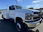 New 2024 Chevrolet Silverado 5500 Work Truck Regular Cab 4x4, Knapheide Steel Service Body Service Truck for sale #12242410 - photo 4