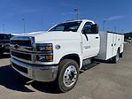 New 2024 Chevrolet Silverado 6500 Regular Cab 4x2, Knapheide Steel Service Body Service Truck for sale #12242830 - photo 1