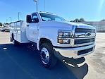 New 2024 Chevrolet Silverado 6500 Regular Cab 4x2, Knapheide Steel Service Body Service Truck for sale #12242830 - photo 4