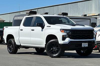 New 2024 Chevrolet Silverado 1500 Custom Crew Cab 4WD, Pickup for sale #25703 - photo 1