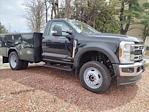 2024 Ford F-550 Regular Cab DRW 4WD, Reading Service Truck for sale #24F502 - photo 6
