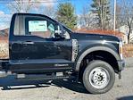 New 2024 Ford F-600 Regular Cab 4WD, Cab Chassis for sale #24F611 - photo 2