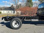 New 2024 Ford F-600 Regular Cab 4WD, Cab Chassis for sale #24F611 - photo 3