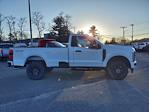 New 2024 Ford F-350 Regular Cab 4WD, Pickup for sale #1766400 - photo 6