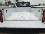 2024 Ford F-250 Regular Cab SRW 4WD, Pickup for sale #1769700 - photo 14
