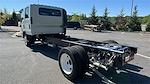 New 2024 Chevrolet LCF 4500HG Crew Cab 4x2, Cab Chassis for sale #T242571 - photo 2