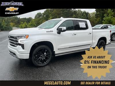 2025 Chevrolet Silverado 1500 Crew Cab 4x4, Pickup for sale #T252041 - photo 1