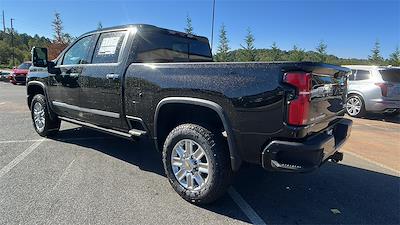 2025 Chevrolet Silverado 3500 Crew Cab 4x4, Pickup for sale #T252147 - photo 2