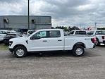 2024 Ford F-150 SuperCrew Cab 4x4, Pickup for sale #1Q151 - photo 4