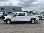 2024 Ford F-150 SuperCrew Cab 4x4, Pickup for sale #1Q156 - photo 5