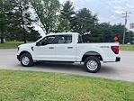 2024 Ford F-150 SuperCrew Cab 4x4, Pickup for sale #1Q158 - photo 4
