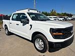 New 2024 Ford F-150 XL SuperCrew Cab 4x2, Pickup for sale #1Q319 - photo 4