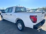 New 2024 Ford F-150 XL SuperCrew Cab 4x2, Pickup for sale #1Q319 - photo 2