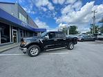 New 2024 Ford F-150 XLT SuperCrew Cab 4x4, Pickup for sale #1Q343 - photo 3