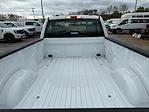 New 2024 Ford F-150 XL Regular Cab 4x2, Pickup for sale #1Q428 - photo 8