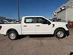 New 2024 Ford F-150 XL SuperCrew Cab 4x2, Pickup for sale #1Q437 - photo 2