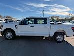 New 2024 Ford F-150 XL SuperCrew Cab 4x2, Pickup for sale #1Q437 - photo 6