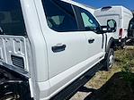 2024 Ford F-550 Crew Cab DRW 4x2, Cab Chassis for sale #4Q017 - photo 5