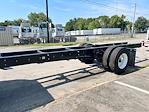 New 2025 Ford F-650 Regular Cab RWD, Cab Chassis for sale #6R006 - photo 7