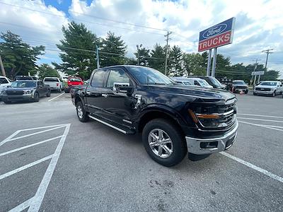 New 2024 Ford F-150 XLT SuperCrew Cab 4x4, Pickup for sale #1Q343 - photo 1