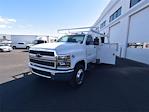 New 2023 Chevrolet Silverado 5500 Work Truck Regular Cab RWD, 12' Royal Truck Body Service Combo Body for sale #599989 - photo 1