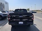 New 2024 Ford Ranger XLT SuperCrew Cab 4x4, Pickup for sale #F243016 - photo 35