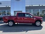 New 2024 Ford F-150 XLT SuperCrew Cab 4x4, Pickup for sale #H248086 - photo 37