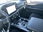 New 2024 Ford F-150 XLT SuperCrew Cab 4x4, Pickup for sale #H248147 - photo 18