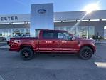 New 2024 Ford F-150 XLT SuperCrew Cab 4x4, Pickup for sale #F248297 - photo 36