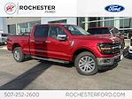 New 2024 Ford F-150 XLT SuperCrew Cab 4x4, Pickup for sale #F248357 - photo 1