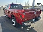 New 2024 Ford F-150 XLT SuperCrew Cab 4x4, Pickup for sale #F248357 - photo 31