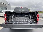 New 2023 Ford F-150 XLT SuperCrew Cab 4x4, Pickup for sale #H238381 - photo 6