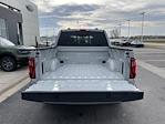 2024 Ford F-150 SuperCrew Cab 4x4, Pickup for sale #H248065 - photo 36