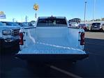 New 2025 Ram 1500 Lone Star Crew Cab 4x4, Pickup for sale #N256003 - photo 23