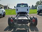 New 2024 Chevrolet Silverado 5500 Work Truck Crew Cab 4x4, Cab Chassis for sale #117034 - photo 8