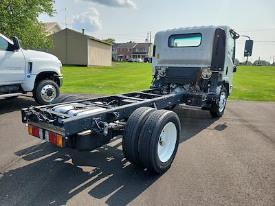 New 2024 Chevrolet LCF 4500HG Regular Cab 4x2, Cab Chassis for sale #200573 - photo 1