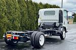 New 2025 Chevrolet LCF 5500HG Regular Cab RWD, Cab Chassis for sale #26349 - photo 2