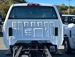 2024 Chevrolet Silverado 5500 Regular Cab DRW 4WD, Cab Chassis for sale #RH344240 - photo 3