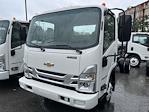 2025 Chevrolet LCF 3500HG Regular Cab RWD, Cab Chassis for sale #SS202640 - photo 4