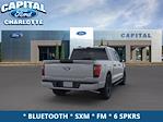 2024 Ford F-150 SuperCrew Cab RWD, Pickup for sale #24F12114 - photo 10