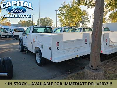 New 2024 Ford F-450 XL Regular Cab 4WD, 9' Reading SL Service Body Service Truck for sale #24F41923 - photo 2