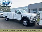 New 2024 Ford F-450 XL Regular Cab RWD, 11' Reading SL Service Body Service Truck for sale #24F48172 - photo 6