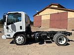 2024 Chevrolet LCF 5500XD Regular Cab RWD, Cab Chassis for sale #240094 - photo 5