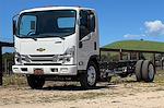 New 2025 Chevrolet LCF 5500XG Work Truck Regular Cab RWD, Cab Chassis for sale #250001 - photo 8