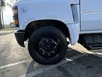 2023 Chevrolet Silverado 5500 Crew Cab DRW RWD, Scelzi Dump Body Dump Truck for sale #231134TC - photo 65