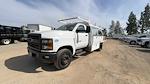 2023 Chevrolet Silverado 5500 Regular Cab DRW RWD, Harbor Standard Contractor Body Contractor Truck for sale #231462TC - photo 62