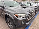 Used 2017 Toyota Tacoma SR5 Double Cab 4x2, Pickup for sale #250421A - photo 6